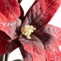 Eurofirany KW/FLORE/868/JUN Punane Eurofirany KW/FLORE/868/JUN Punane
