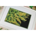 Beldizart krustdūrien izšūšanas komplekts "Pavasara mimoza" 18x27 cm SNV-950 Beldizart krustdūrien izšūšanas komplekts "Pavasara mimoza" 18x27 cm SNV-950