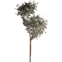 Eurofirany KW/FLORE/756/POP POPI Eurofirany KW/FLORE/756/POP POPI