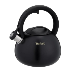 Neelektriskā tēja katls TEFAL N4180410, melns, matēts