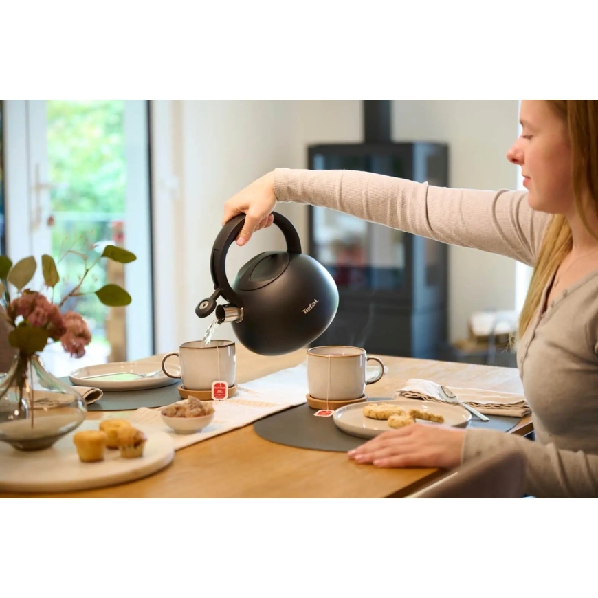 Ненагревательный чайник TEFAL N4180410, Черный, Матовый – 3