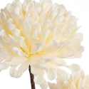 Eurofirany KW/FLORE/841/K K Eurofirany KW/FLORE/841/K K