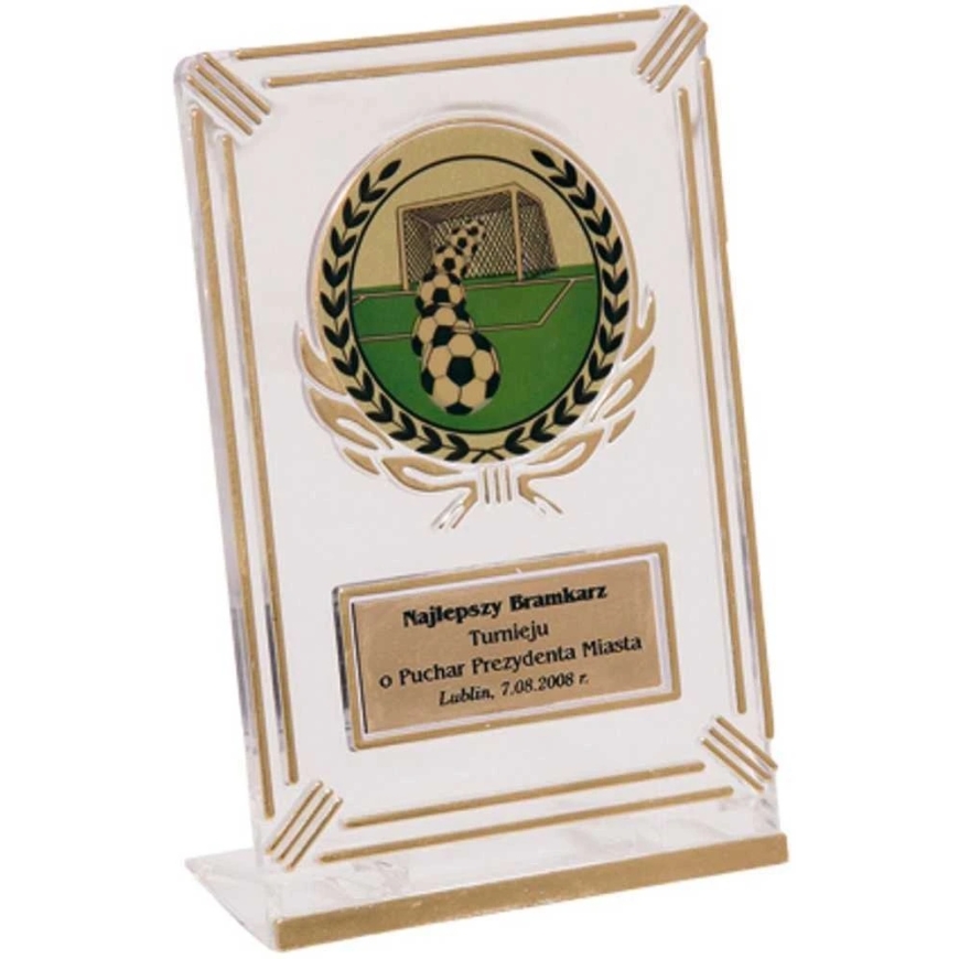 Tryumf Plastic Trophy – Clear – Gold with space for a 50 mm sticker and a 50 mm x 20 mm T-M plate – 2