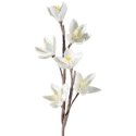 Eurofirany KW/FLORE/519/K K Eurofirany KW/FLORE/519/K K