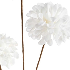 Eurofirany KW/FLORE/851/B B
