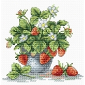 Beldizart Garšīgā Zemeņu SM-066 Beldizart Garšīgā Zemeņu SM-066