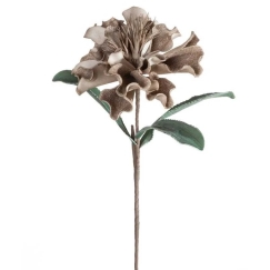 Eurofirany KW/FLORE/873/C.B C.BEIGE