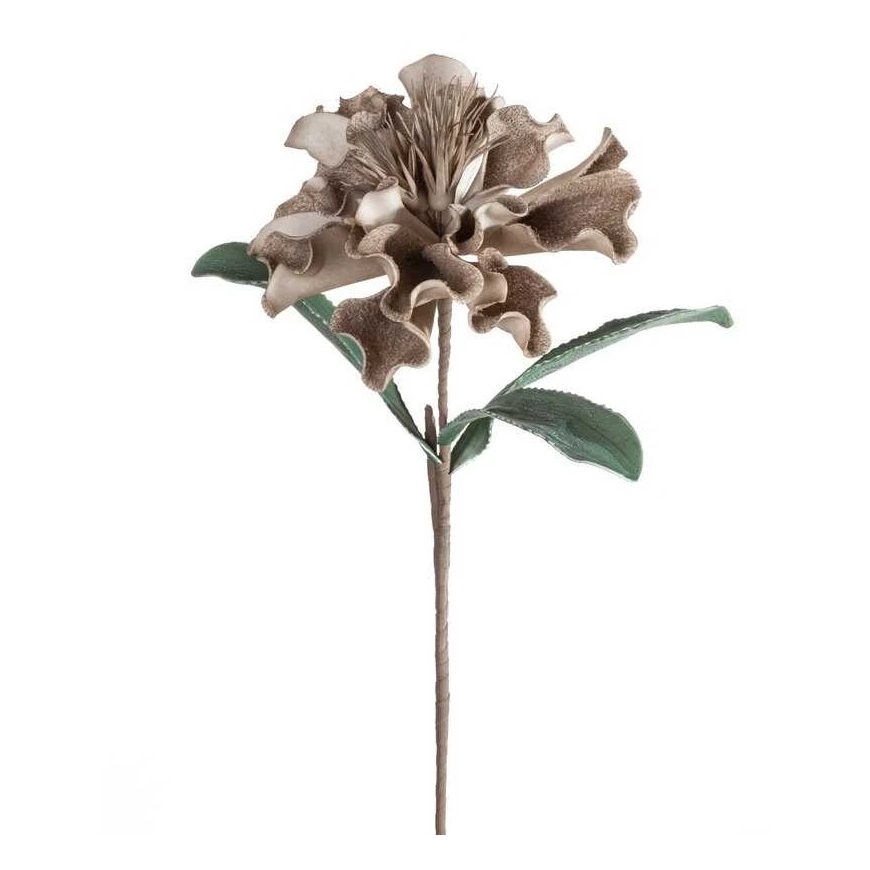 Eurofirany KW/FLORE/873/C.B C.BEIGE