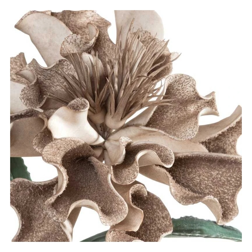 Eurofirany KW/FLORE/873/C.B C.BEIGE – 2