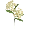 Eurofirany KW/FLORE/859/K K+TARGET Eurofirany KW/FLORE/859/K K+TARGET