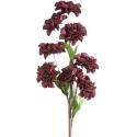 Eurofirany KW/FLORE/865/C.F C.FIOL Eurofirany KW/FLORE/865/C.F C.FIOL