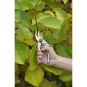 Kreator KRTGR1021 - TITAN 200 mm šķēres Kreator KRTGR1021 - TITAN 200 mm šķēres