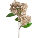 Eurofirany KW/FLORE/872/C.B C.BEIGE Eurofirany KW/FLORE/872/C.B C.BEIGE