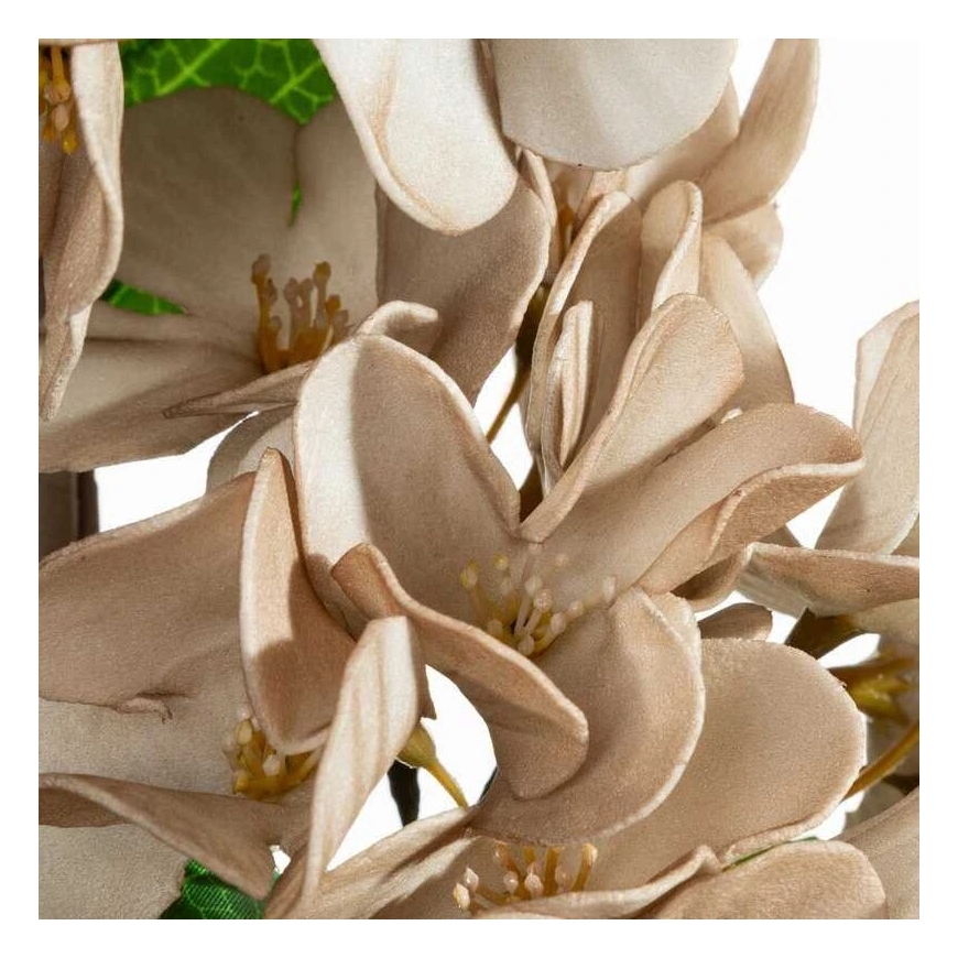 Eurofirany KW/FLORE/872/C.B C.BEIGE – 2