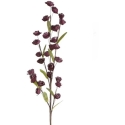 Eurofirany KW/FLORE/863/C.F C.FIOL Eurofirany KW/FLORE/863/C.F C.FIOL