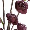 Eurofirany KW/FLORE/863/C.F C.FIOL Eurofirany KW/FLORE/863/C.F C.FIOL