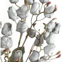Eurofirany KW/FLORE/867/POP POPI Eurofirany KW/FLORE/867/POP POPI
