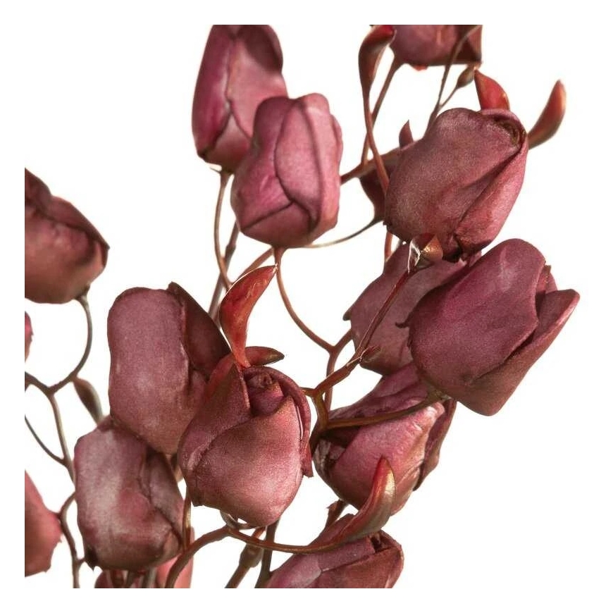 Eurofirany KW/FLORE/867/C.F C.FIOL – 2