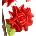 Eurofirany KW/FLORE/865/JUN Red Eurofirany KW/FLORE/865/JUN Red