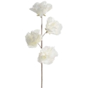Eurofirany KW/FLORE/856/B B