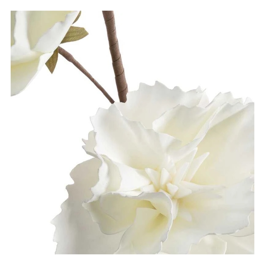 Eurofirany KW/FLORE/856/B B – 2