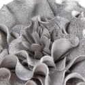 Eurofirany KW/FLORE/836/SRE Sudrabs Eurofirany KW/FLORE/836/SRE Sudrabs