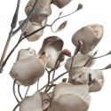 Eurofirany KW/FLORE/867/C.B C.BEIGE Eurofirany KW/FLORE/867/C.B C.BEIGE