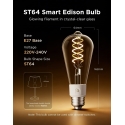 Govee nutikas Edison E27 nutipirn, 500 lm, 2 tk Govee nutikas Edison E27 nutipirn, 500 lm, 2 tk
