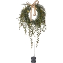 Star Trading Barr sveču vainags 35 cm, zaļš Star Trading Barr sveču vainags 35 cm, zaļš