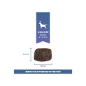BEMO külmpressitud jõe kala mono - kuiv koeratoit - 1kg BEMO külmpressitud jõe kala mono - kuiv koeratoit - 1kg