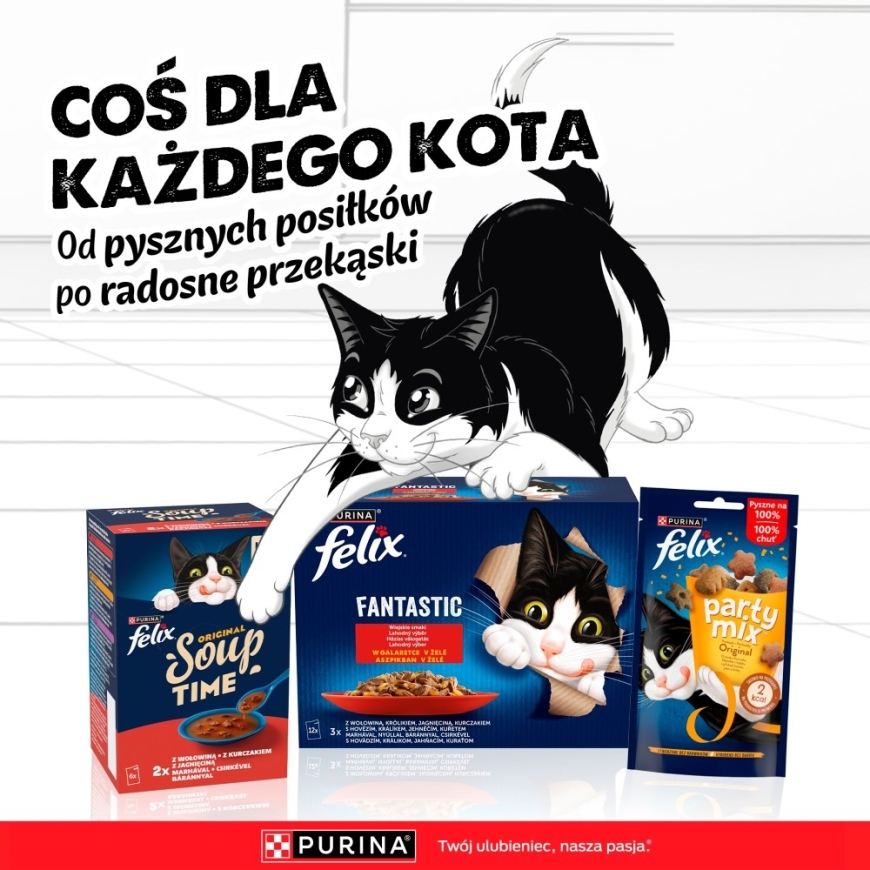 PURINA Felix Fantastic želees karp - märgtoit kassidele - 44x85g – 2