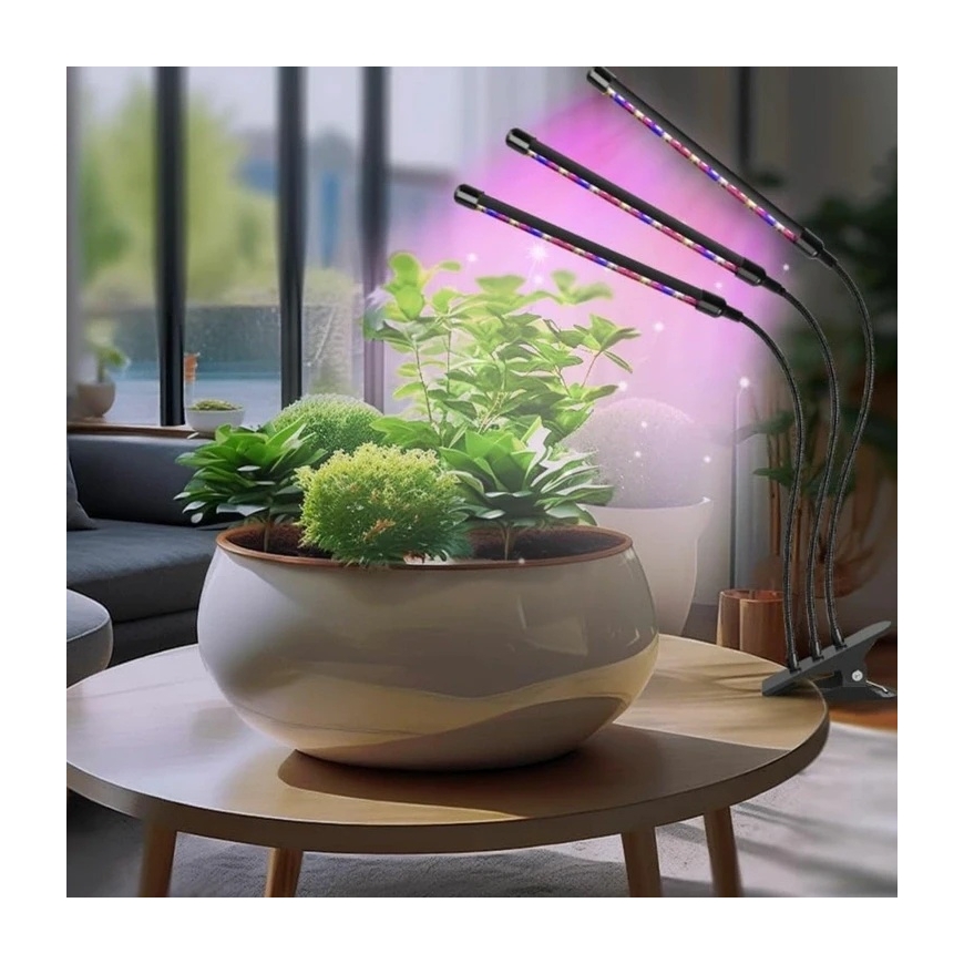 ATL Taime Lamp