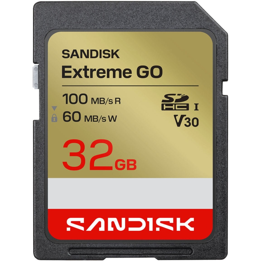SanDisk 32 Gb Extreme GO UHS-I