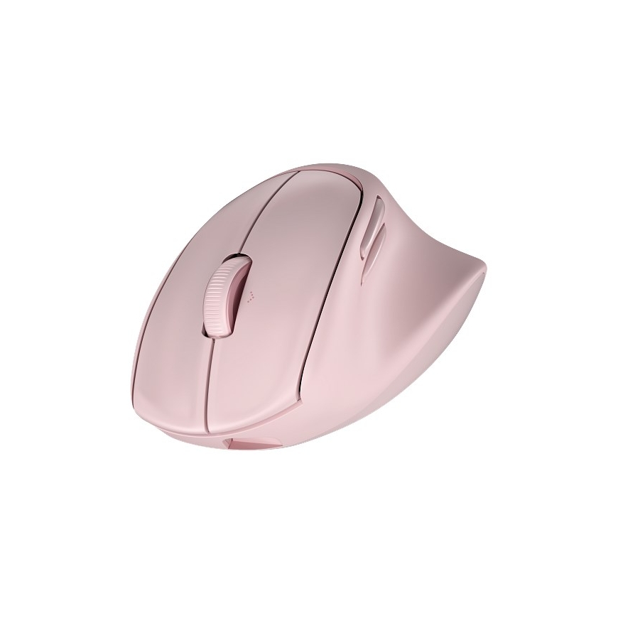 HP Tilt Ergo PNK MSE 720M EMEA-INTL EN L pelė dešiniarankiams RF belaidė + Bluetooth 6000 DPI