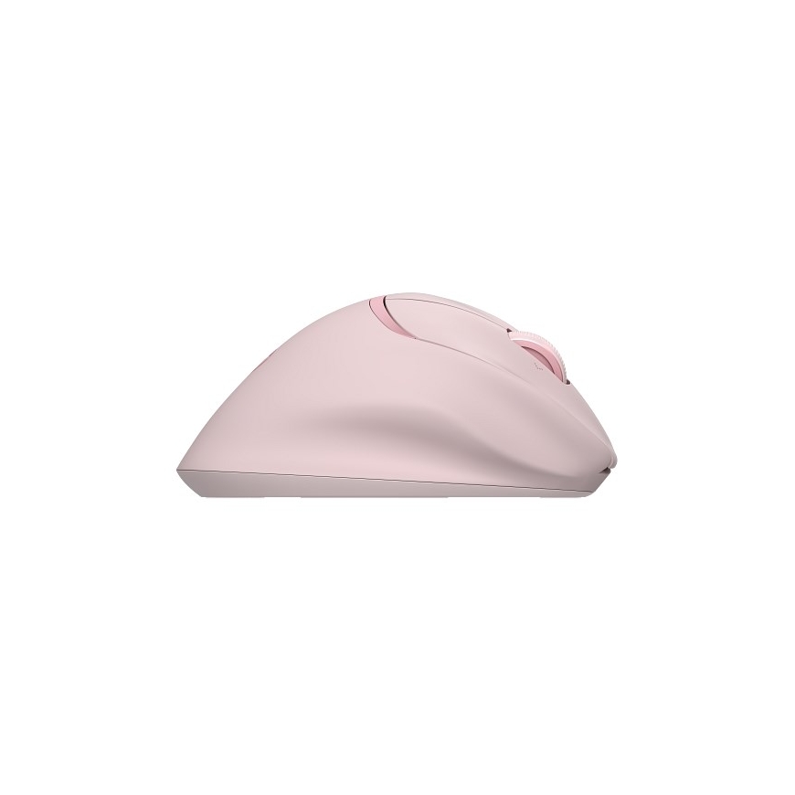 HP Tilt Ergo PNK MSE 720M EMEA-INTL EN L мышь для правой руки RF беспроводная + Bluetooth 6000 DPI – 5