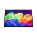 Acer PE160WUT Widescreen LCD Monitor Acer PE160WUT Widescreen LCD Monitor