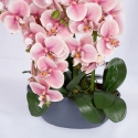 Home4You Orhideja „GARDEN QUEEN“, augstums 64 cm, gaiši rozā Home4You Orhideja „GARDEN QUEEN“, augstums 64 cm, gaiši rozā