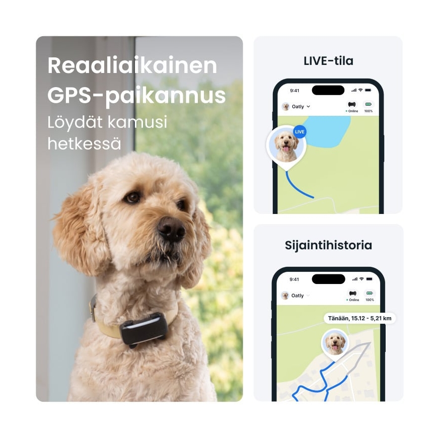 Tractive DOG 6 XL GPS -koiranpanta – 2