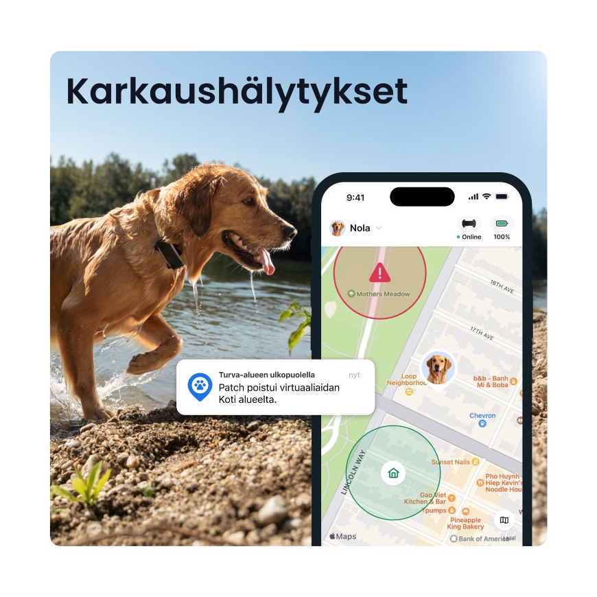 Tractive DOG 6 XL GPS -koiranpanta – 3