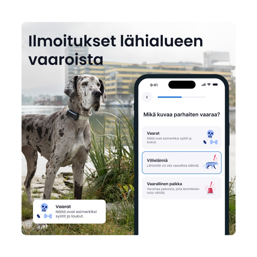 Tractive DOG 6 XL GPS -koiranpanta – 4