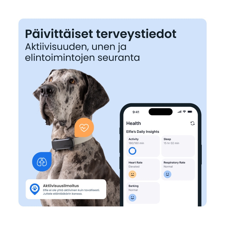 Tractive DOG 6 XL GPS -koerakaelarihm – 5