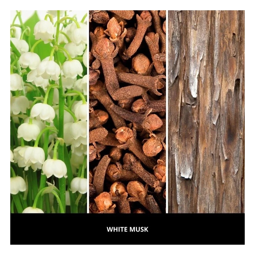Reed Diffuser 250 ml VALGE MUSK MILLEFIORI – 4