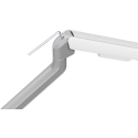 White shark Baltas Shark AKHENATEN I GMS-3209 monitor mount for 1 monitor