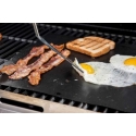 Proflame PFE-GM1 40 x 33 cm Proflame PFE-GM1 40 x 33 cm