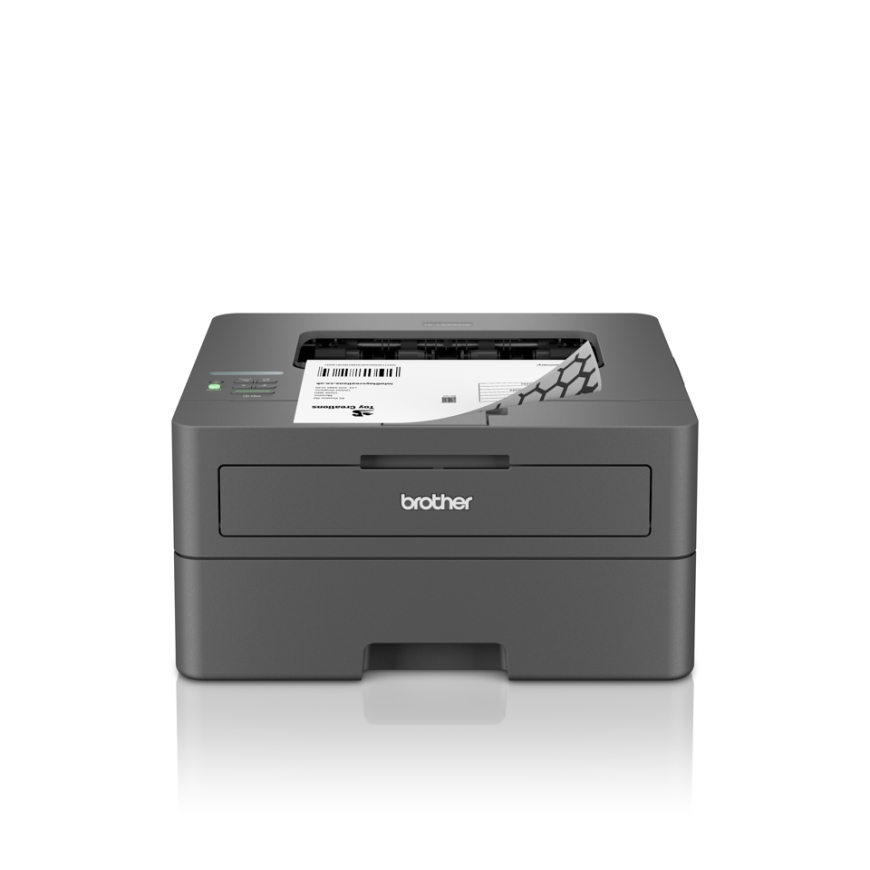 Brother HL-L2400DW lazerinis spausdintuvas 1200 x 1200 DPI A4 „Wi-Fi“