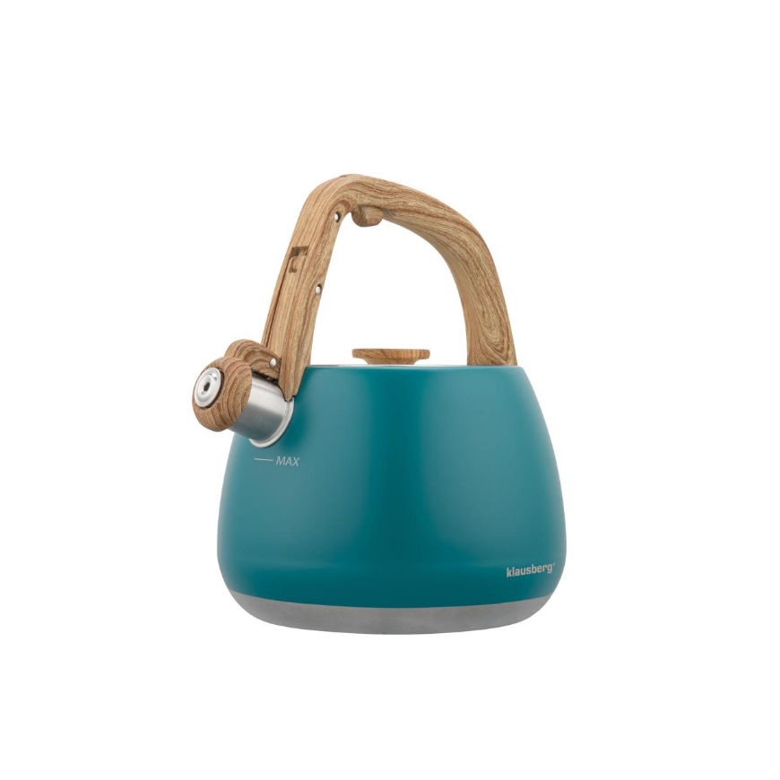 Kettle with whistle, stainless steel, Blue with Wooden Handle, 2