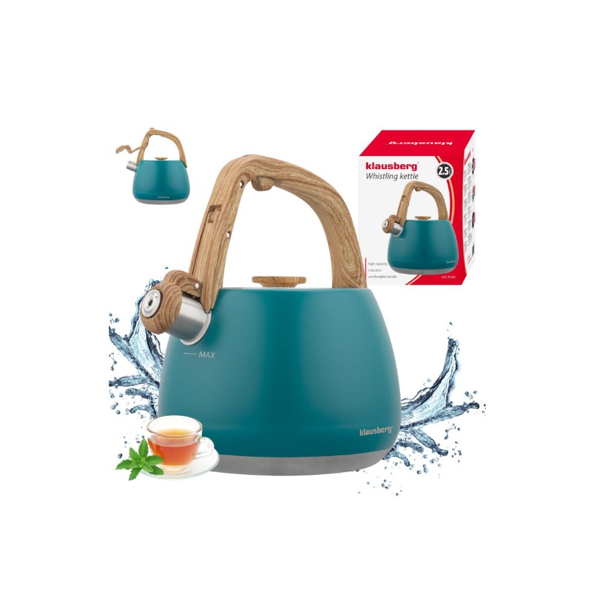 Vesipannu, jossa on pillitys, ruostumaton teräs, sininen puisella kahvalla, 2 L – 2