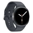 Samsung Galaxy Watch 8 3.81 cm (1.5") AMOLED 44 mm Digital 480 x 480 pixels Touchscreen Graphite Wi-