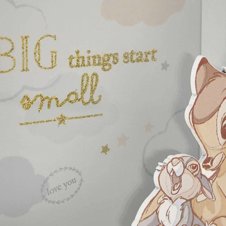 Деньги на Widdop Co Disney Bambi – 5