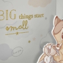 Widdop Co Disney Bambi money box